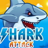 Shark Attack